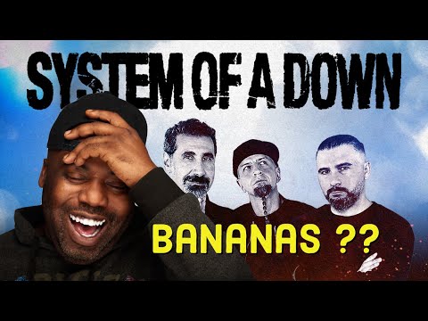 System Of A Down - Vicinity of Obscenity Reaction