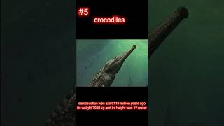 prehistory animals 😱(terrifying)