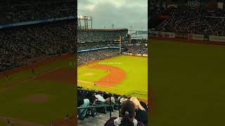 Beautiful Ballpark 🧡