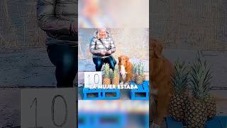 Perro heroe vendedor de piñas 😳 #shorts