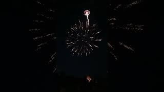 cool fireworks (sorry for the phone being shaky it got heavy.