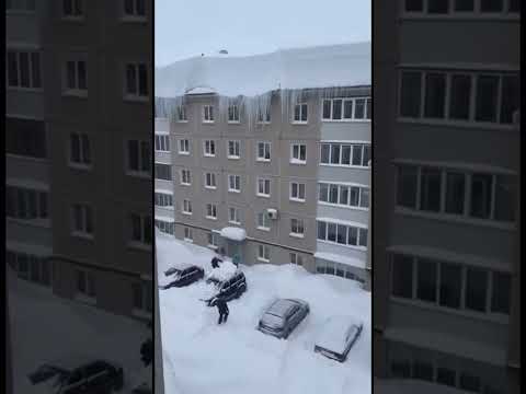 3 февраля 2026 г.