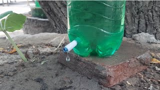 Plastic bottle Drip irrigation system for potted plants