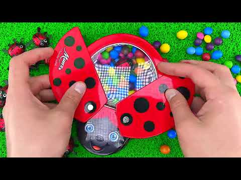 Satisfying Video | Mixing Color Slime & Magic Skittles Candy in Box LadyBug Cutting ASMR