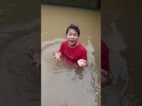 #shortvideo chị hai nhát quá #giaitrivui #comedy #giaitri #vuive
