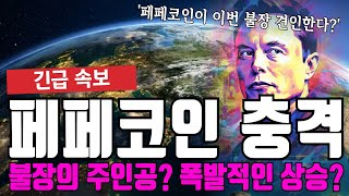 페페코인 충격 불장의 주인공 된다?