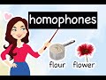 Exploring Common Homophones and Their Meanings