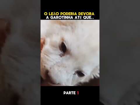 o leão PODERIA DEVORA a garotinha #filmes #recapfilme #filme