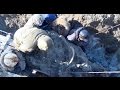 Cloning Mammoths: Ethical and Scientific Insights