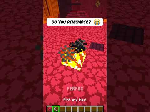 Do You Remember.. 🥺 #shorts #minecraft
