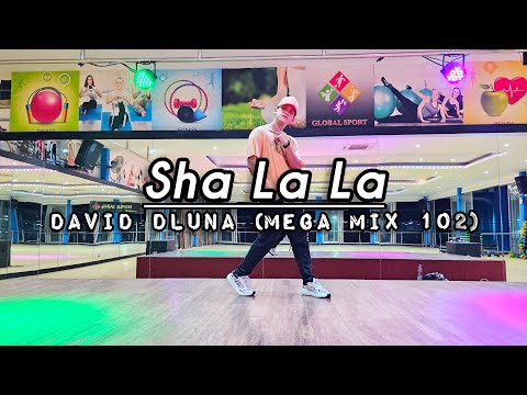 Sha La La - David DLuna ( Mega Mix 102) | ZUMBA | FITNESS | AFROBEAT