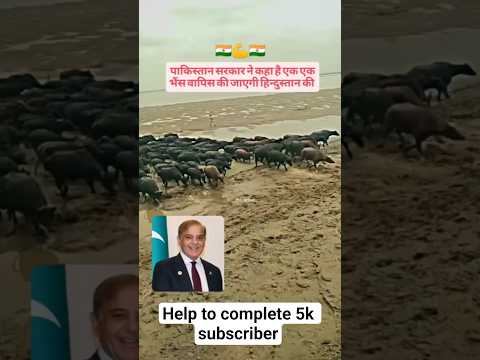 Punjab floods: Amritsar मे बाढ से हाहाकार ! डूब गई सड़क और घर| Heavy Rain | Weather