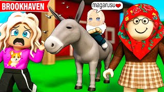 EMA are propriul ei MAGARUS de la BUNICI! Ce NUME sa ii puna? (Roblox Brookhaven)