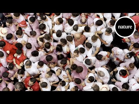 Crowd crush: Could fluid dynamics save lives?