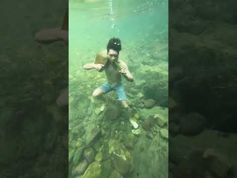 #trending #youtubeshorts #travel #nature #shorts #shortvideo #short #song