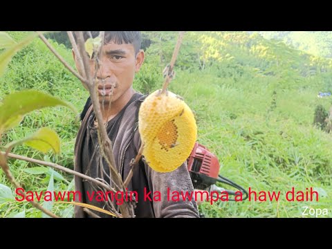 Kan huan sam naah savawm alo awm tlat mai, Kan tlanche nasa ngang mai😂😂