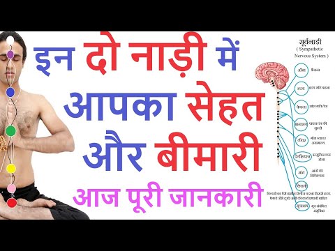 दो नाड़ी में सेहत और बीमारी Yog Guru Dheeraj चंद्रनाड़ी Vs सूर्यनाड़ी  Pranayam Yogasan or Workout ?