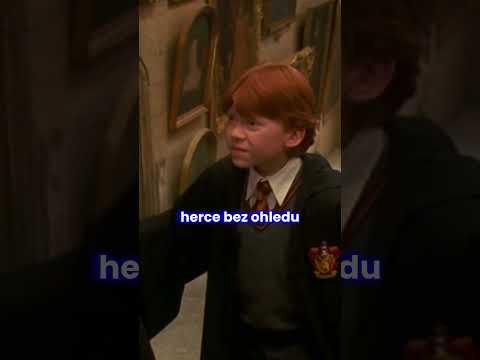 Nové tváře Harryho Pottera! Bude z Harryho žena?! #kinoboxcz #kinobox #harrypotter #fakta #novinky