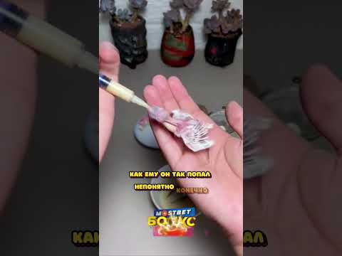 Что так ЕГО ИСПУГАЛО.. Что это было??