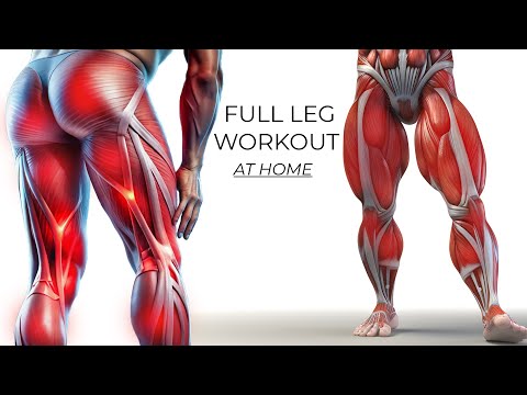 Best Scientific Leg Workout For 2025 at Home (No Equipment)