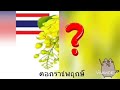 Understanding Missing Parts of Flowers