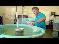 Aquaculture and Fish Hatchery Practices