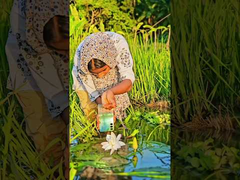 farming reel ๐ชท #song #farming #khetibadi #dailyshorts #virulshorts