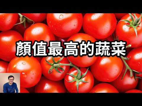 番茄做為顏值最高的蔬菜，為什麼越好看的反而越難吃？櫻桃番茄（聖女果）竟然大有來頭！番茄應該放在冰箱裡保存嗎？【老肉雜談】#生物 #植物 #水果 #蔬菜 #番茄