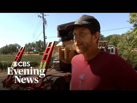 YouTube video thumbnail: Napa Winemaker Fears New Wildfire After Smoke From Last Blaze Tainted Grapes