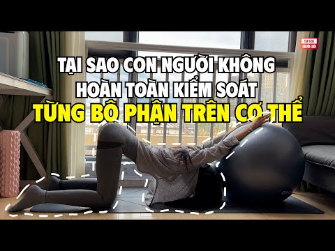 Tại sao con người, không thể kiếm soát hoàn toàn cơ thể? | THKT 036