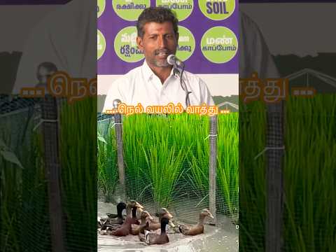 இவங்க தான் எங்க வயல்ல களை எடுக்கிறாங்க🦆 #agriculture #trending #farming #organic #shorts #nammalvar