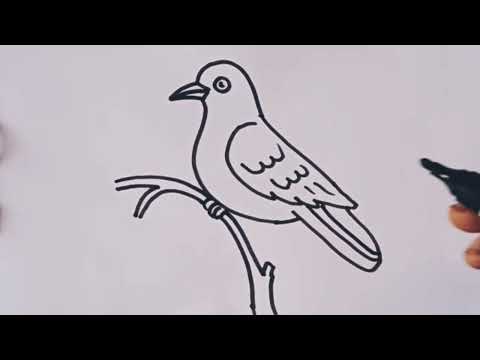 How to draw a Bird / Sparrow bird drawing step by step