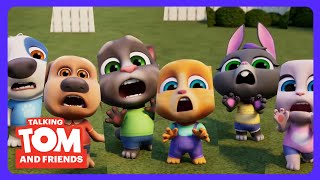 Talking Tom Shorts - 虫の大群がやってきた！🪲 | 子供アニメ | WildBrain キッズ