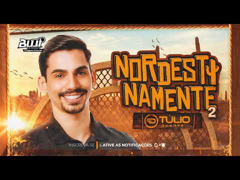 TÚLIO DUARTE NOVEMBRO 2024 (MÚSICAS NOVAS) CD NOVO TULIO DUARTE - NORDESTINAMENTE CD PRA PAREDÃO