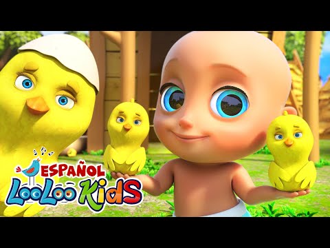 🐤🐥Los Pollitos Dicen Pio Pio y La Vaca Lola - LooLoo ¡Canciones Infantiles!