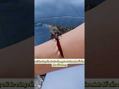 Sức mạnh của kiến quân đội.