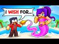 Aaron's Adventures with a Genie