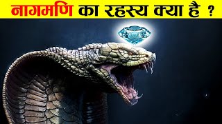 साँप और नागमणि का रहस्य क्या है ?