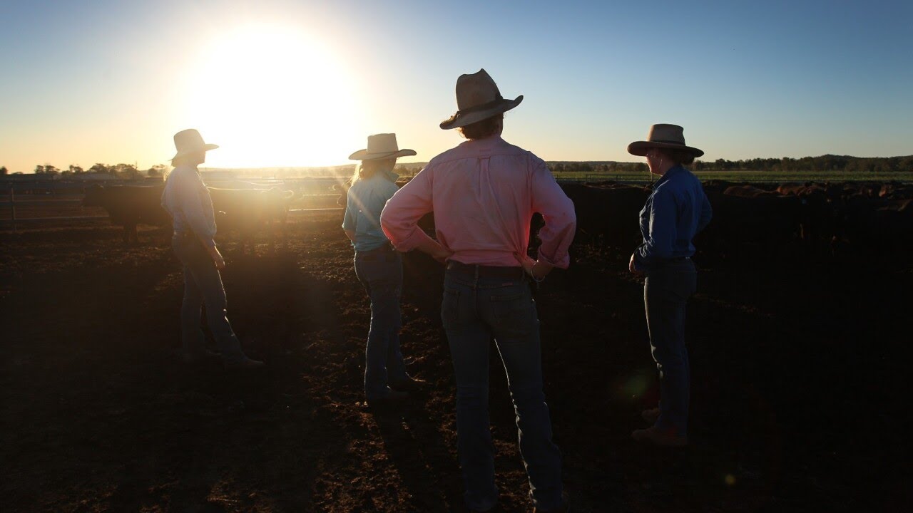 ‘White-hot anger’: Aussie farmers rally against wind turbines, transmission lines