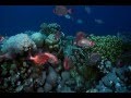 Understanding Climate Change