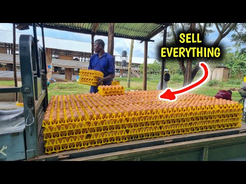 How I Easily Sell EVERYTHING I Produce on my Local Market