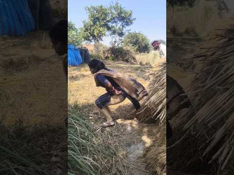 लाज सरम नही है तुमको |Mamtajijaunpurya # shortsvideo #Youtubeshorts #shortsfeed |