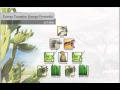 Energy Transfer in Trophic Levels