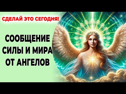 Сделай это сегодня! 🕊️ Сообщение силы и мира от ангелов