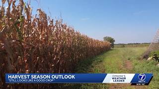 YouTube video thumbnail: Elkhorn Farmer Cautiously Optimistic as Harvest Season Approaches