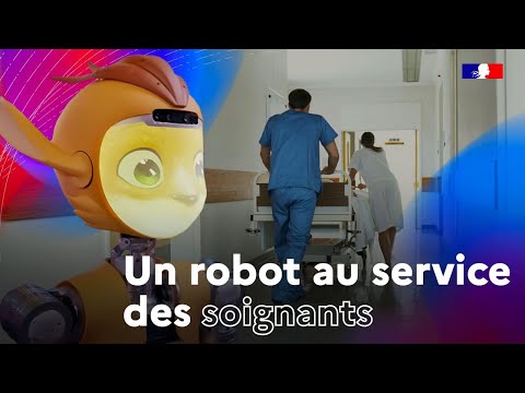 Comment ces robots vont bouleverser notre quotidien