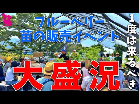 【お得しかない】年に1度の熱いブルーベリーイベントを開催しました！