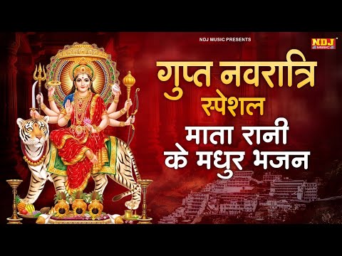 गुप्त नवरात्री स्पेशल | माता रानी के मधुर भजन | Gupt Navratri Ke Bhajan | Durga Mata Ke Bhajan