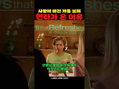 사랑에 빠진 개를 보며 현타가 온 이유