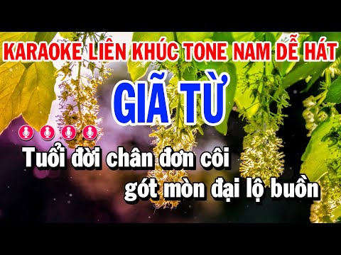 Karaoke Liên Khúc Nhạc Sống Giã Từ | Chiếc Áo Bà Ba | Tone Nam